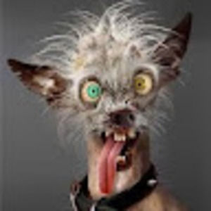 Meet your Posher, Zachary